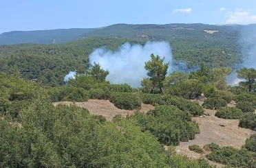 Aydın Valiliği’nden kritik orman yangını uyarısı 