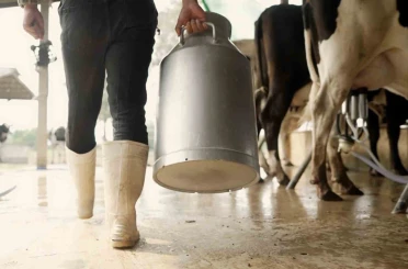 Aydın’da 9 bin 543 üreticiye toplam 66 milyon TL ödeme yapılacak 