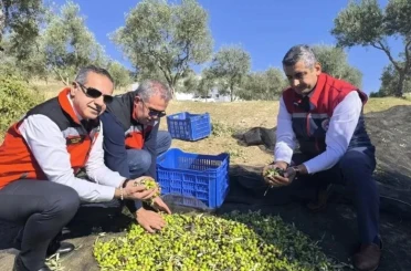 Aydın’da bir yılda 3 bini aşkın tarımsal denetim yapıldı 