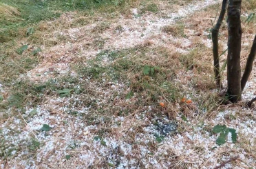 Aydın’da dolu etkili oldu, ağaçlar zarar gördü 
