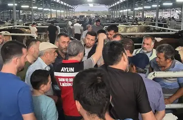 Aydın’da hayvan pazarlarında sıkı denetim
