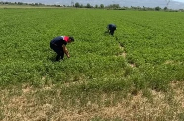 Aydın’da kuraklıkla mücadele çalışmaları sürüyor 