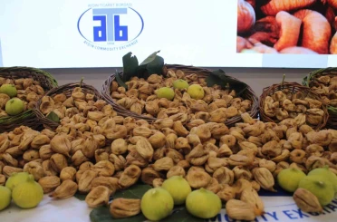 Aydın’da sezonun ilk kuru inciri 850 liradan satıldı 