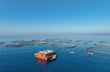 Aydın’da su ürünleri destekleme başvuruları başladı 