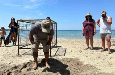 Aydın’da yılın ilk Caretta Caretta yuvası tespit edildi 