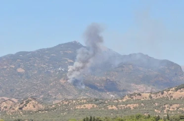 Aydın’da zirai alan yangını 