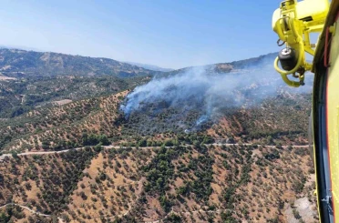 Aydın’daki zirai alan yangınına havadan ve karadan müdahale sürüyor 