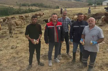 Aydıntepe’de hayvan yetiştiricilerine yonca zehirlenmesi uyarısı

