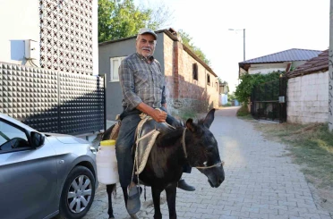 Ayhan amca yokluktan değil, sürücü belgesi olmadığından eşeği ile servis yapıyor 
