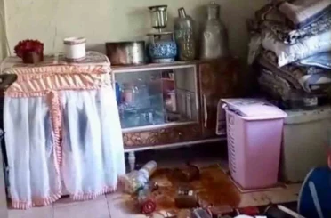 Ayılar yerleşim alanlarına indi, yöre halkı endişeli 