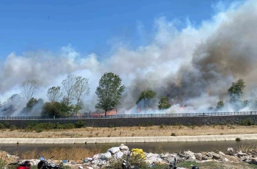 Ayvacık’ta çöplük alanda çıkan yangın ormana sıçradı 