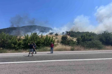 Ayvacık’ta orman yangını 