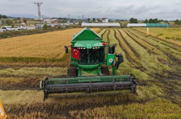 Bafra Ovası’nda çeltik hasadı başladı 
