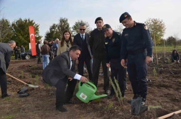 Bafra’da 8 bin fidan toprakla buluştu 