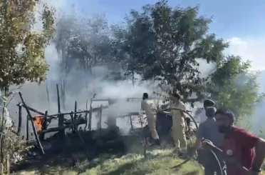 Bahçe yangını ormanlık alana sıçramadan söndürüldü 
