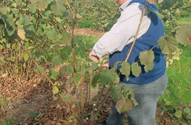 Bahçelerde toprak analizi ve zararlı tespiti 