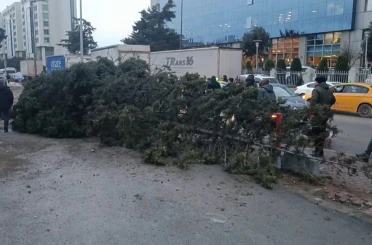 Bahçelievler’de şiddetli rüzgar nedeniyle ağaç devrildi: 1 kişi altında kaldı 