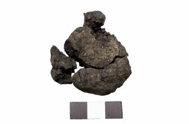 Bakan Ersoy: "Anadolu sofralarının kökenine ışık tutuyoruz" 