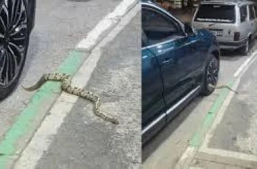 Bakan Işıkhan: "Türkiye, artık yalnızca tüketen değil, üreten ve yön veren bir ülke konumuna yükselmiştir"