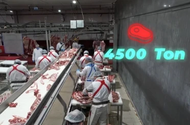 Bakan Yumaklı, "4 bin 500 ton kırmızı et üretimi ile Elazığ’ın tarımsal ve ekonomik potansiyeline güçlü bir katkı sağlayacağız" 