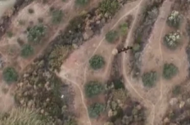 Bakan Yumaklı: "Hatay'da kaçak av yapan 9 kişinin yakalandı"