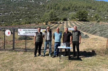 Bakımını yapan kullanım hakkını elde edecek 