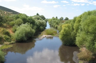 Bakırçay Ovası’nı kuraklık vurdu 