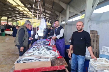 Balık bollaştı, fiyatlar düştü 