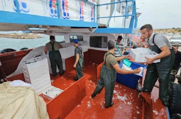 Balık fiyatları 1 ay sonra ucuzlayacak 