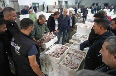 Balık mezadında hareketlilik: Kasalar dolusu balıklar kapışıldı 