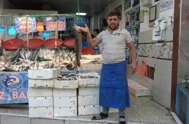 Balık sezonu açıldı, halk et ve tavuktan balığa yöneldi 