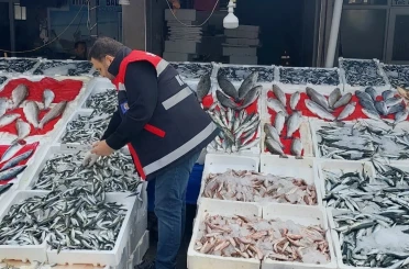 Balık tezgahları denetlendi 