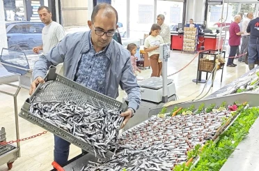 Balık tezgahları şenlendi 