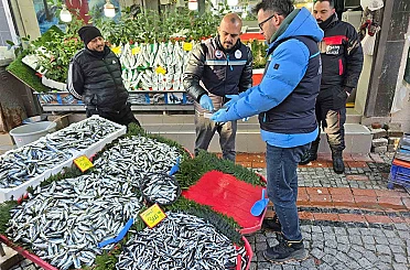 Balık tezgâhları yakın takipte 