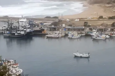 Balıkçı Demir: "Küçük balıkçı kasabalarını ayakta tutan palamut balığıdır" 