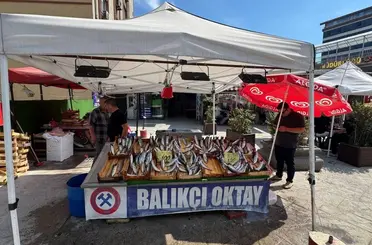 Balıkçı esnafından yeni sezon müjdesi, "Bu sene denizden balık fışkıracak"
