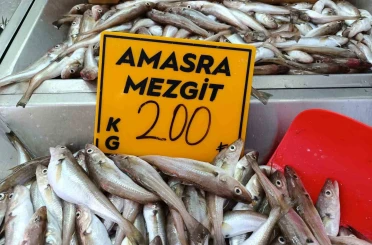 Balıkçılar palamut için "kestane karası"nı bekliyor 