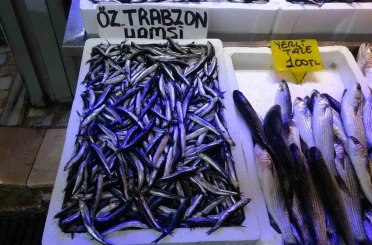 Balıkçılardan "Patlatılan insansız deniz araçları hamsiyi kaçırttı" iddiası 