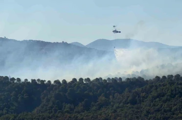 Balıkesir Gömeç yangını 3. gününde. 
