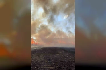 Balıkesir’de arazi yangını 