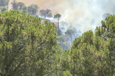 Balıkesir’deki yangın tekrar yayılıyor 