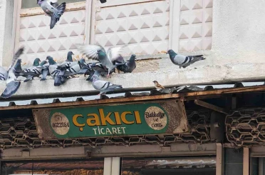 Balkonunu kuşlara sofra yaptı: Demircili esnaftan örnek davranış 