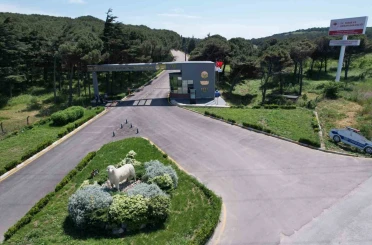 Bandırma Koyunculuk Araştırma Enstitüsü’nün TÜBİTAK projesine destek 