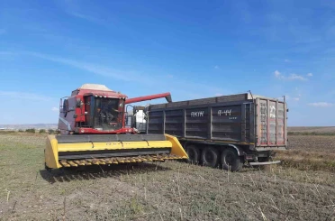 Bandırma Merinos’ta ayçiçeği hasadı tamamlandı 