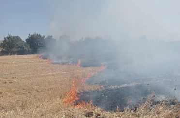 Bandırma’da anız ve çalılık alanda çıkan yangın söndürüldü 
