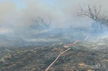 Bandırma’da arazi yangını kısa sürede söndürüldü 