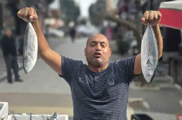 Bandırma’da palamutun fiyatı 75 liraya düştü