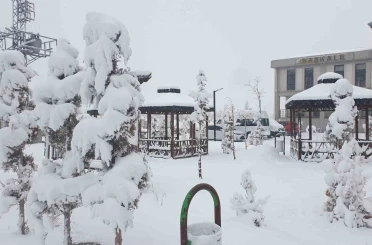 Başkale’de kar yağışı 