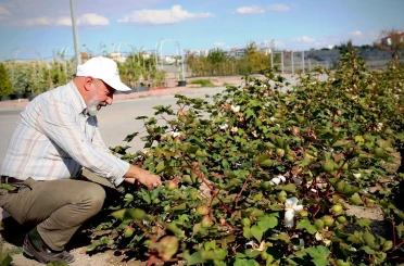Başkan Çolakbayrakdar: "Türkiye’nin en kapsamlı fidanlığıyla Kayseri’nin yeşil dokusu zenginleşiyor" 