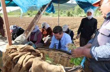 Başkan Tatık’tan tütün firmalarına ’Alım takvimi açıklayın’ çağrısı 